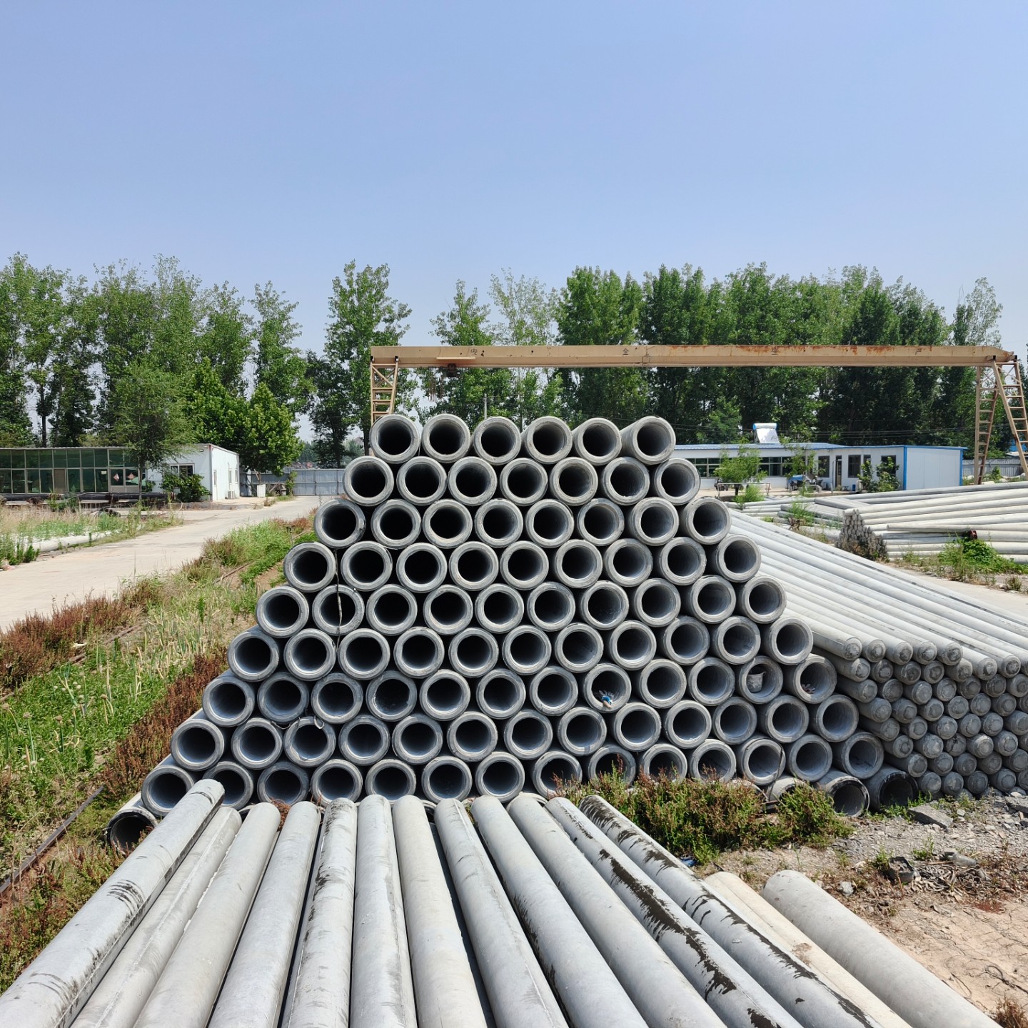 金水190×10米水泥电线杆